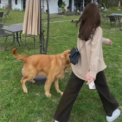 凤女龙驹